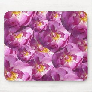 Foto de Rosas Pink no Mouse Pad