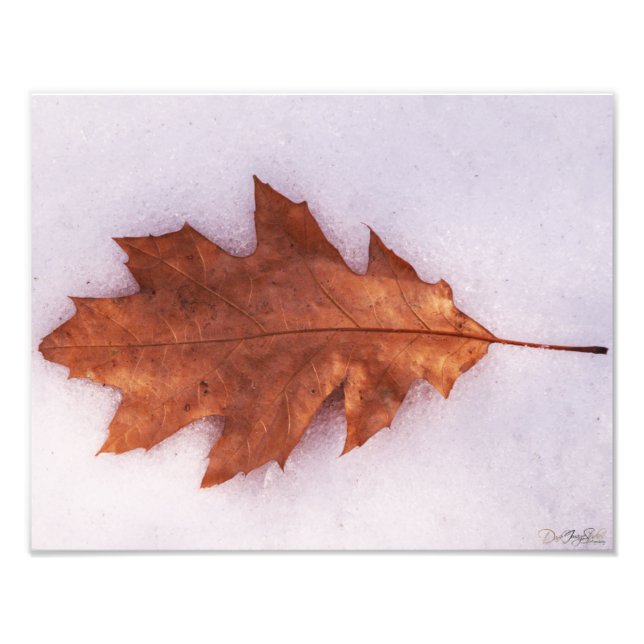 Foto de solidão (Frente)