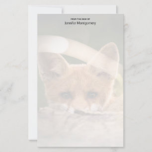 Foto de uma Raposa Laranja Bonita