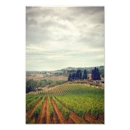 Foto de vinhedo da Toscana com céu sombrio
