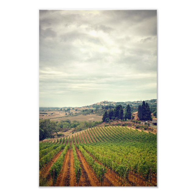 Foto de vinhedo da Toscana com céu sombrio (Frente)