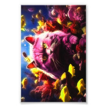 Decoração de Parede com Gatos