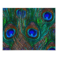 Decoração do Estilo de Penas de Peacock à Meia-Noi