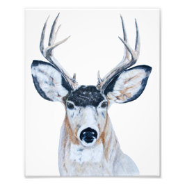 Foto Deer Head in Pencil