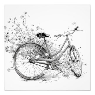 Foto Desenho da Flor Branca Bicicleta Branca, Quadrado