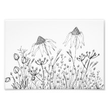 Desenho de flores silvestres