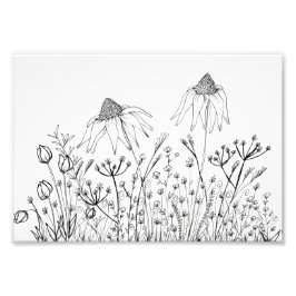 Foto Desenho de flores silvestres