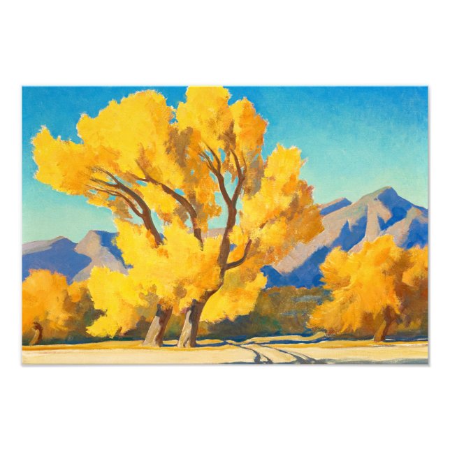 Foto Desert Cottonwoods, Arizona por Maynard Dixon (Frente)