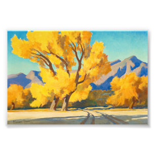 Foto Desert Cottonwoods, Arizona por Maynard Dixon