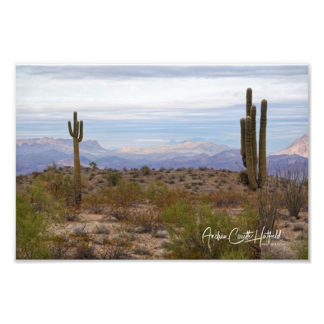 Foto Desert Saguaro (Frente)
