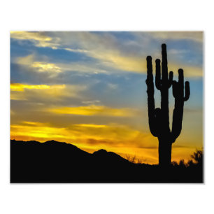 Foto Deserto de Arizona 1996-2 ao Sol com Saguaros