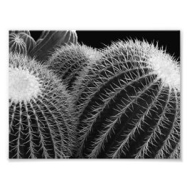 Foto Deserto Escuro.