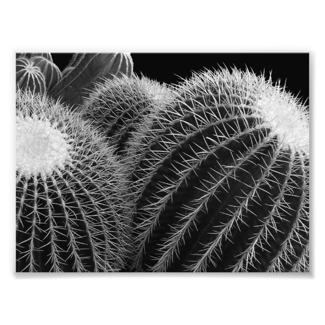 Foto Deserto Negro. (Frente)