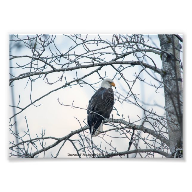 Foto Desgraçado (Frente)