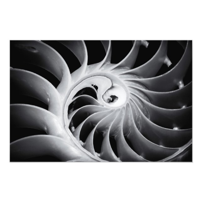 Foto Design da natureza (Frente)