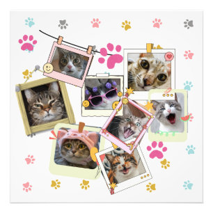 Foto Design de colagem de gatos engraçados e bonitos
