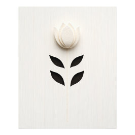 Foto Design de Flor Branco