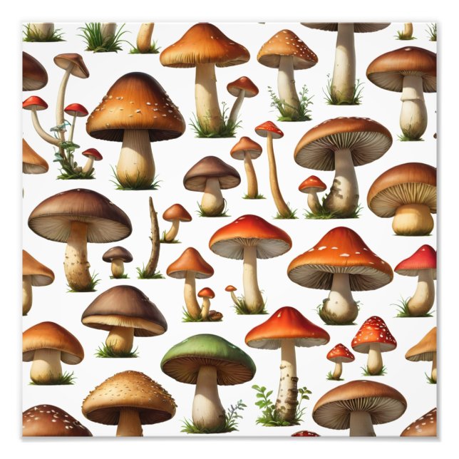 Foto Design de Padrão de Coleta de Cogumelos (Frente)
