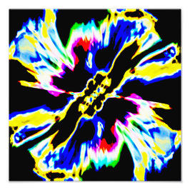 Foto Design preto, vermelho, amarelo, azul de flor