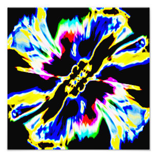 Foto Design preto, vermelho, amarelo, azul de flor