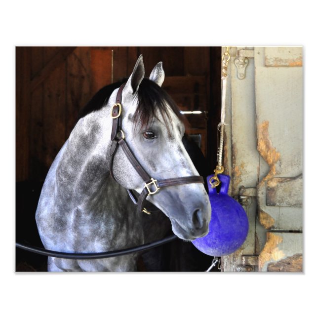 Foto Destino (Frente)