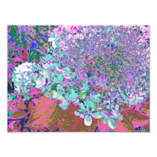 Foto Detalhe de Aqua Elegante e Hydrangea de luz do Lim