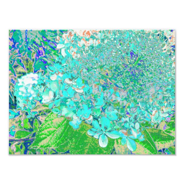 Foto Detalhe de Aqua Elegante e Hydrangea de luz verde (Frente)