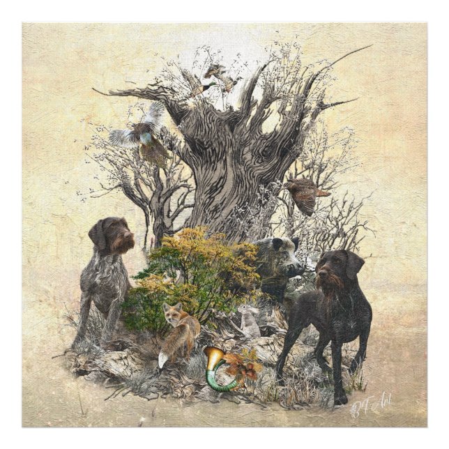 Foto Deutsch Drahthaar (Frente)