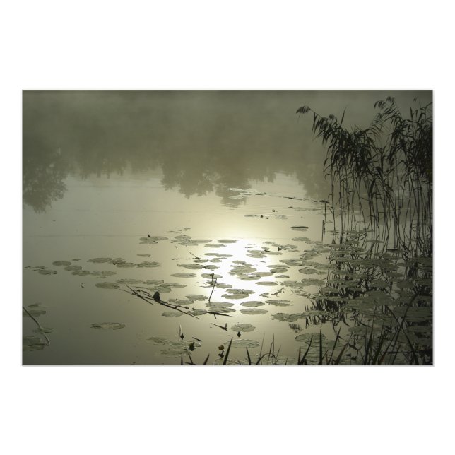 Foto Dia da moda sobre o lago (Frente)