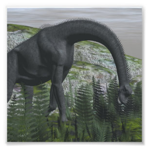 Foto Dinossauro do Brachiosaurus que come a samambaia -