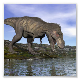 Foto Dinossauro do rex do tiranossauro - 3D rendem
