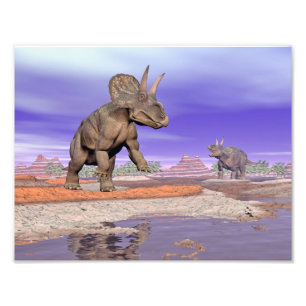 Foto Dinossauros de Nedoceratops/diceratops na natureza