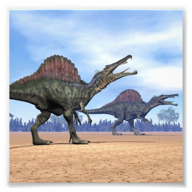 Foto Dinossauros do espinossauro caminham - renderizaçã (Frente)