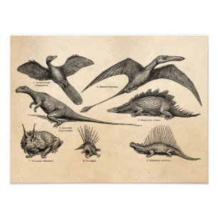 Foto Dinossauros retros da ilustração do dinossauro d
