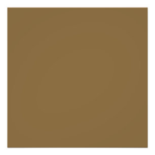 Foto Dirt Brown (cor sólida)