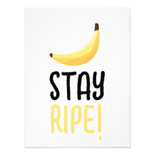 Foto Dívidas Favoritas de Banana Retro Engraçadas Puns 