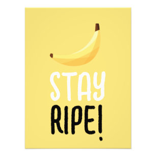 Foto Dívidas Favoritas de Banana Retro Engraçadas Puns