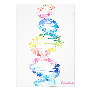 Foto DNA, o espião da vida