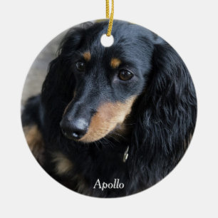 Foto do costume dos enfeites de natal do Dachshund