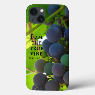 Foto do Evangelho de Uvas Roxas de John Bíblia Ver