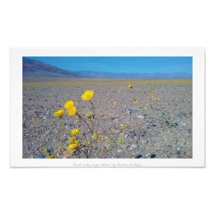 Foto Do "flor super Vale da Morte," natureza