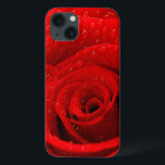 Foto do fundo da rosa vermelha<br><div class="desc">Foto do fundo da rosa vermelha,  flor fresca bonita com gotas de orvalho nas pétalas,  contexto natural abstrato,  cartão do aniversário,  presente romântico,  dia dos namorados,  cartão wedding,  © do conceito do amor e ® Bigstock® - todos os direitos reservados.</div>