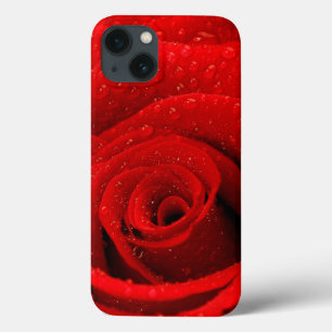 Foto do fundo da rosa vermelha