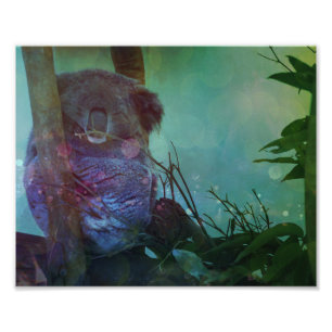 Foto Do "Koala sono "