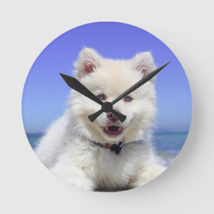 Foto do meu cão no relógio grande redondo acrílico