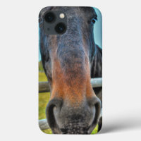 Foto do Muzzle Cavalo de Percheron Preto Criado