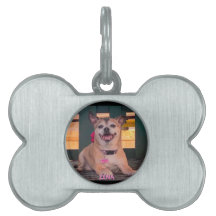 Foto do Nome do Cão Personalizado Moderno