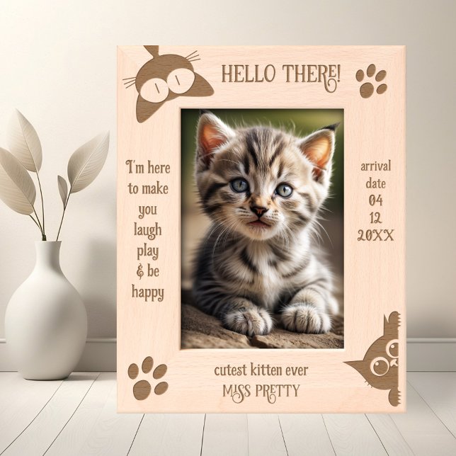 Foto do Novo Gato Gatinho Engraçado (Funny etched welcome new cat photo frame featuring cute kitten silhouettes with paw prints)