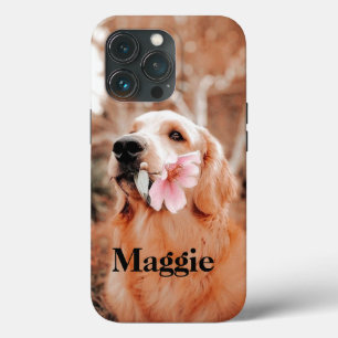Foto do Recuperador de Ouros Personalizado - Prese