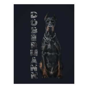 Foto Doberman Pinscher